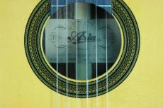 ARIA A-50SE　エレアコ