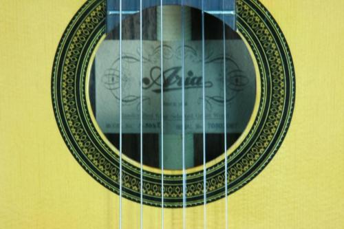 ARIA A-50SE　エレアコ