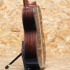 ASTURIAS RENAISSANCE TP MDR_5