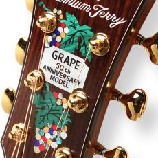 Terry's Terry Premium Terry (テリー中本) PTJ-100MS さだまさし&グレープ 50th Anniversary PU標準装備 (Fishman Ellipse Matrix Blend 2.3mm)<ご予約商品> _2