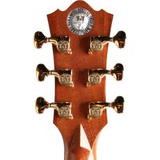 Terry's Terry Premium Terry (テリー中本) PTJ-100MS さだまさし&グレープ 50th Anniversary PU標準装備 (Fishman Ellipse Matrix Blend 2.3mm)<ご予約商品> _3