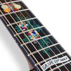 Terry's Terry Premium Terry (テリー中本) PTJ-100MS さだまさし&グレープ 50th Anniversary PU標準装備 (Fishman Ellipse Matrix Blend 2.3mm)<ご予約商品> _4