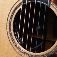 Terry's Terry Premium Terry (テリー中本) PTJ-100MS さだまさし&グレープ 50th Anniversary PU標準装備 (Fishman Ellipse Matrix Blend 2.3mm)<ご予約商品> _5