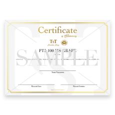 Terry's Terry Premium Terry (テリー中本) PTJ-100MS さだまさし&グレープ 50th Anniversary PU標準装備 (Fishman Ellipse Matrix Blend 2.3mm)<ご予約商品> _6