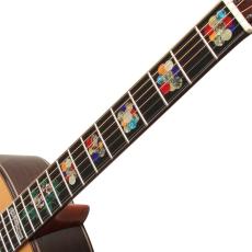 Terry's Terry Premium Terry (テリー中本) PTJ-100MS さだまさし&グレープ 50th Anniversary PU標準装備 (Fishman Ellipse Matrix Blend 2.3mm)<ご予約商品> _8