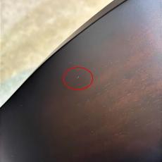 Taylor 【現品特価!!】【塗装ムラあり】【試奏動画あり】 Builder's Edition 324ce #1208033097 【パンチのある中音域・音抜け良好】【送料当社負担】【池袋店在庫品】_17