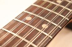 Fender 1966 Electric Ⅻ "Excellent Plus Condition"_4