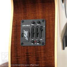 Maton MASTER BUILT - L.E.May_11