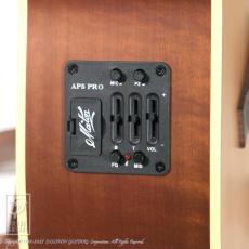 Maton MASTER BUILT - TE Personal_11