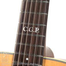 Maton MASTER BUILT - TE Personal_14