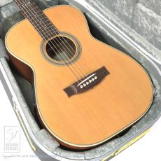 Maton MASTER BUILT - TE Personal_15