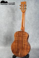 Pegasus Tenor Custom (2022)_3