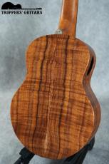 Pegasus Tenor Custom (2022)_5