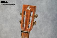 Pegasus Tenor Custom (2022)_6