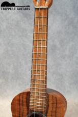 Pegasus Tenor Custom (2022)_7