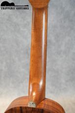 Pegasus Tenor Custom (2022)_9