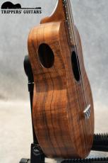 Pegasus Tenor Custom (2022)_10