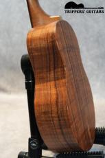 Pegasus Tenor Custom (2022)_11