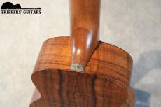 Pegasus Tenor Custom (2022)_12