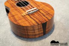 Pegasus Tenor Custom (2022)_13