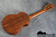 Pegasus Tenor Custom (2022)_15
