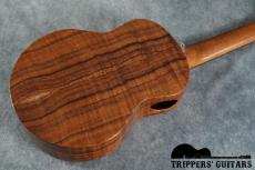 Pegasus Tenor Custom (2022)_16