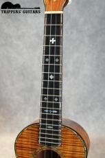 Pegasus 5K Deluxe Concert (1996)_7