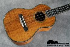 Pegasus 5K Deluxe Concert (1996)_14