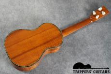 Pegasus 5K Deluxe Concert (1996)_15