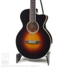 Switch SL-3 Bee (Vintage Sunburst)【デモ動画掲載】