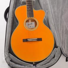 Switch SL-3 Bee (Antique Orange)【60回無金利対象品】_9