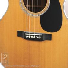 Martin GPC-28E_12