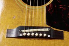 Epiphone FT-90 El Dorado_5