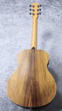 Taylor 【お取り寄せ商品】GS Mini-e  Koa_4