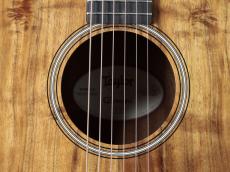 Taylor 【お取り寄せ商品】GS Mini-e  Koa_5