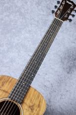 Taylor 【お取り寄せ商品】GS Mini-e  Koa_7