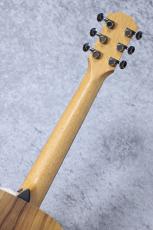 Taylor 【お取り寄せ商品】GS Mini-e  Koa_8