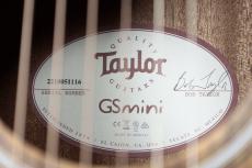 Taylor 【お取り寄せ商品】GS Mini-e  Koa_10