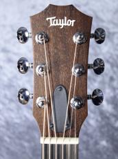 Taylor 【お取り寄せ商品】GS Mini-e  Koa_11