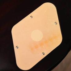 Epiphone 1956 Les Paul Gold Top_8