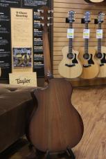 Taylor 514ce_10