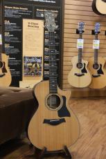 Taylor 312ce_9