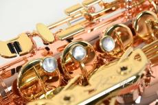 Buffet Crampon SENZO CP s/n 41***_4