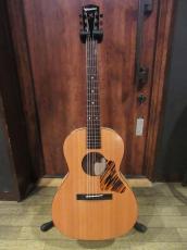 Waterloo (Collings) WL-14X Scissortail
