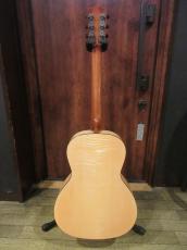 Waterloo (Collings) WL-14X Scissortail_2