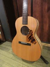 Waterloo (Collings) WL-14X Scissortail_3