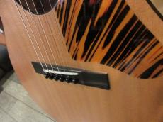 Waterloo (Collings) WL-14X Scissortail_4