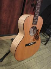 Waterloo (Collings) WL-14X Scissortail_5