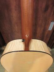 Waterloo (Collings) WL-14X Scissortail_8