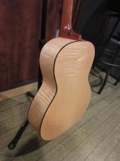 Waterloo (Collings) WL-14X Scissortail_9